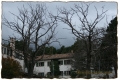 SanatorioAgramonte - GShadow.com - Dic07 - 001.jpg
