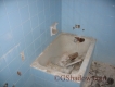 IMG0002.jpg