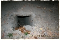 AzucareraA - GShadow.com - Dic07 - 070.jpg