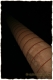 AzucareraE - GShadow.com - Dic07 - 010.jpg