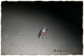 AzucareraE - GShadow.com - Dic07 - 011.jpg