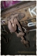 AzucareraE - GShadow.com - Dic07 - 014.jpg