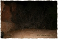 Belchite - GShadow.com - Dic07 - 015.jpg