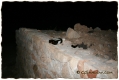 Belchite - GShadow.com - Dic07 - 019.jpg