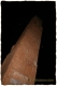 Belchite - GShadow.com - Dic07 - 028.jpg