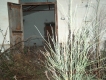 HPIM4912.jpg